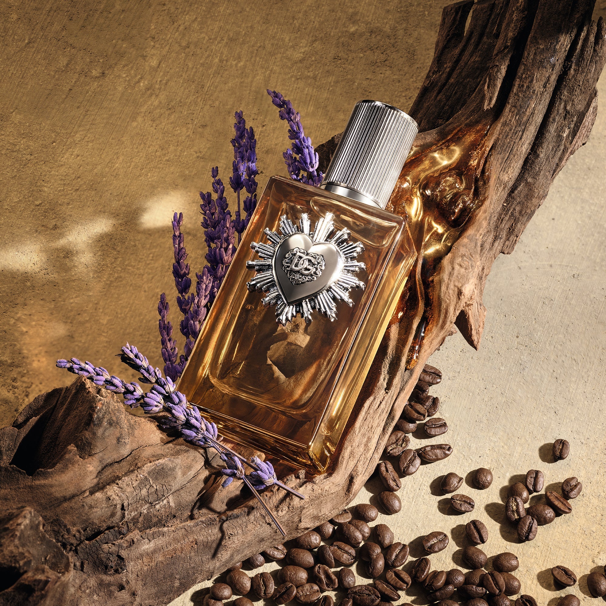 Devotion For Men Parfum